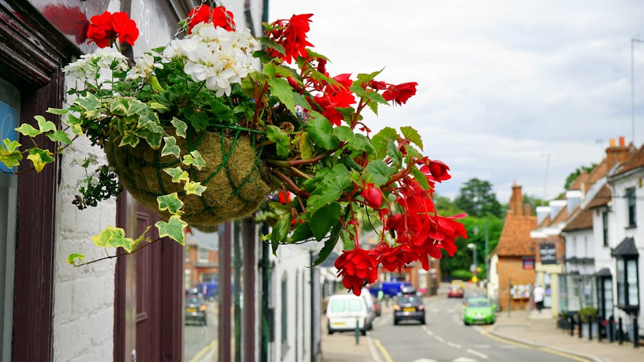 A hanging flower basket attached to a wall along a street, featuring vibrant red begonias and green ivy leaves. The basket is made of moss or natural fibers, secured with green twine, and positioned a