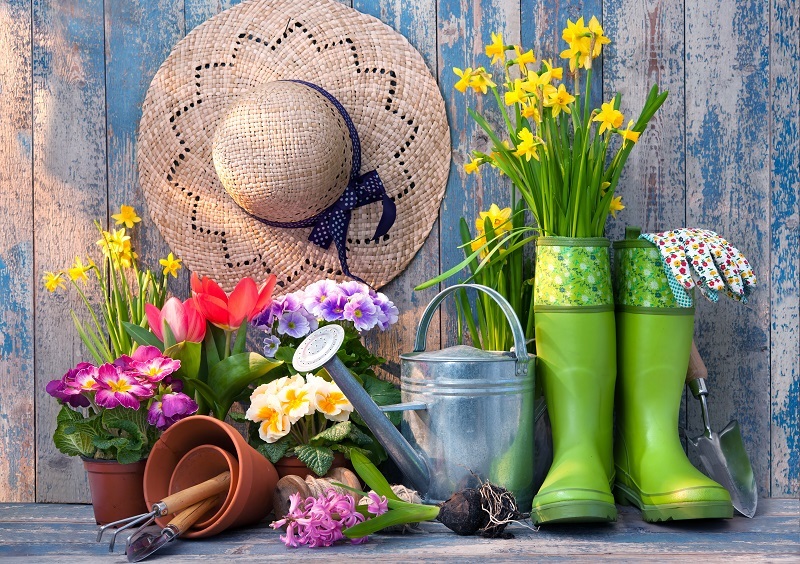 flowers  / involving flowers flowers  / Multiple flowers