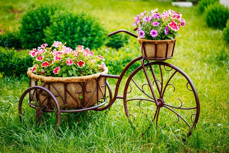 flowers flowers  / fewer flowers